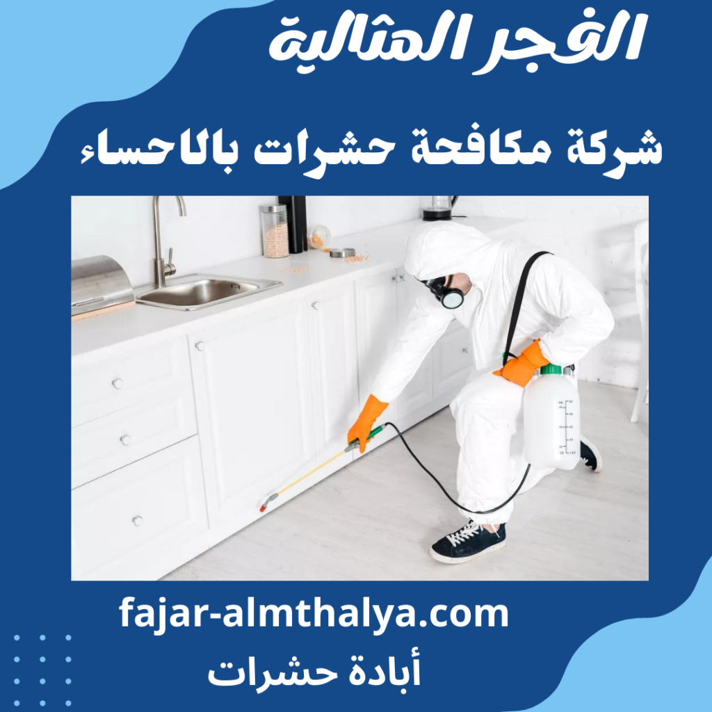 شركة مكافحة حشرات بالاحساء