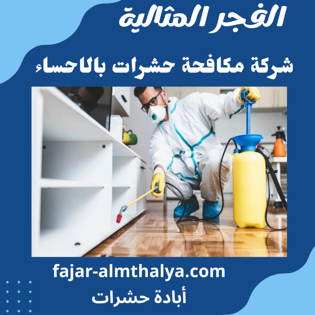 شركة مكافحة حشرات بالاحساء