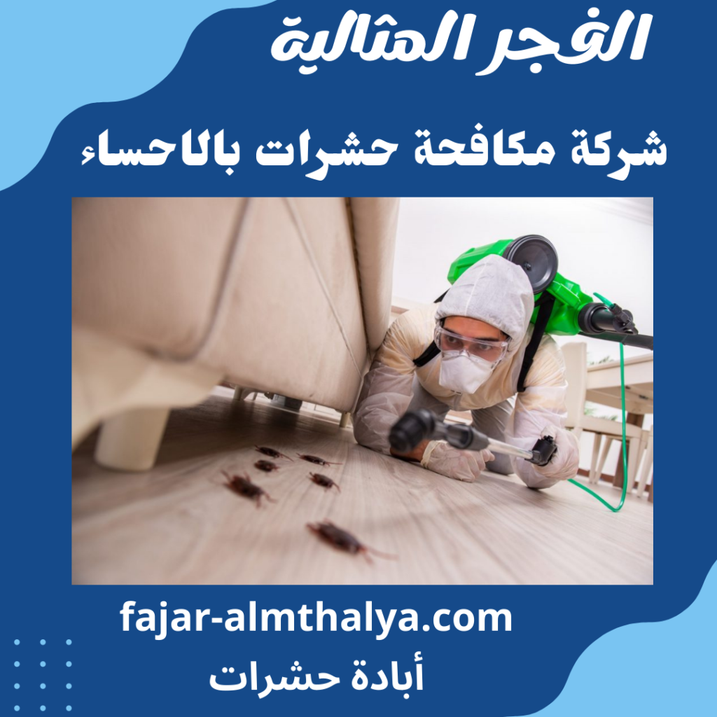 شركة مكافحة حشرات بالاحساء