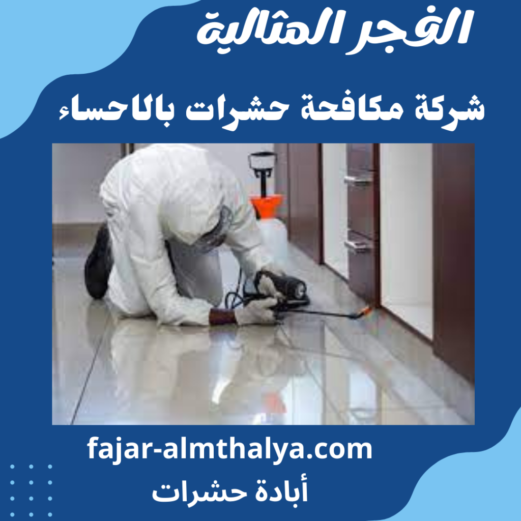 شركة مكافحة حشرات بالاحساء