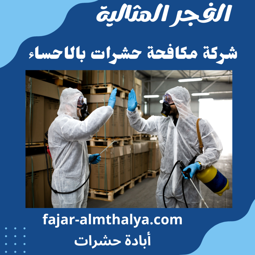 شركة مكافحة حشرات بالاحساء