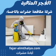 شركة مكافحة حشرات بالاحساء