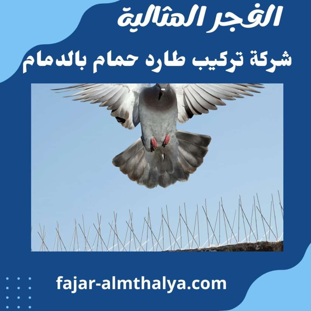 شركة تركيب طارد حمام بالدمام