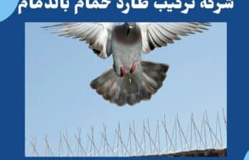 شركة تركيب طارد حمام بالدمام