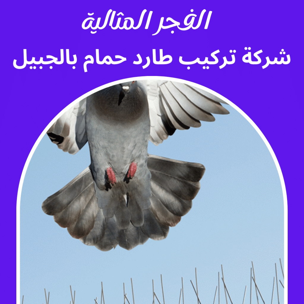 شركة تركيب طارد حمام بالجبيل