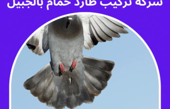 شركة تركيب طارد حمام بالجبيل