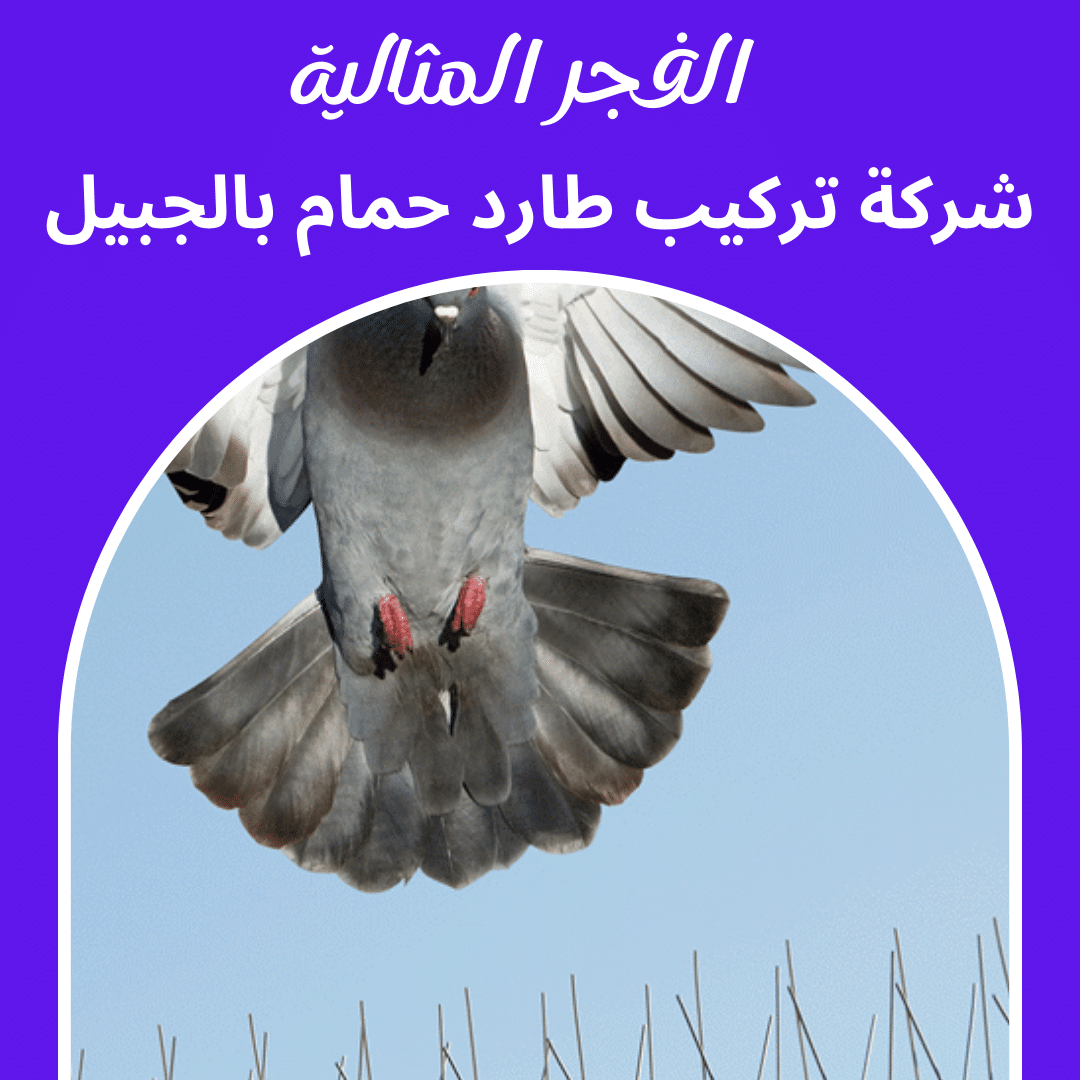 شركة تركيب طارد حمام بالجبيل