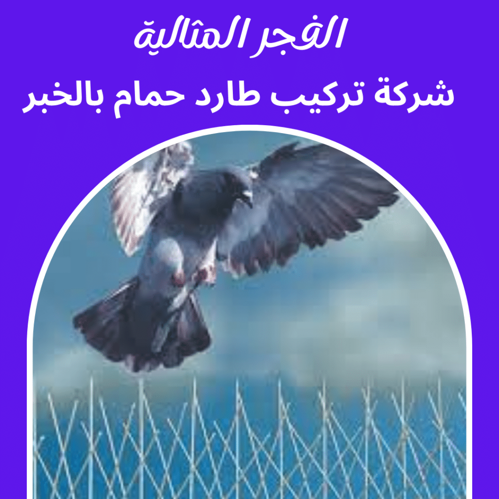 شركة تركيب طارد حمام بالخبر