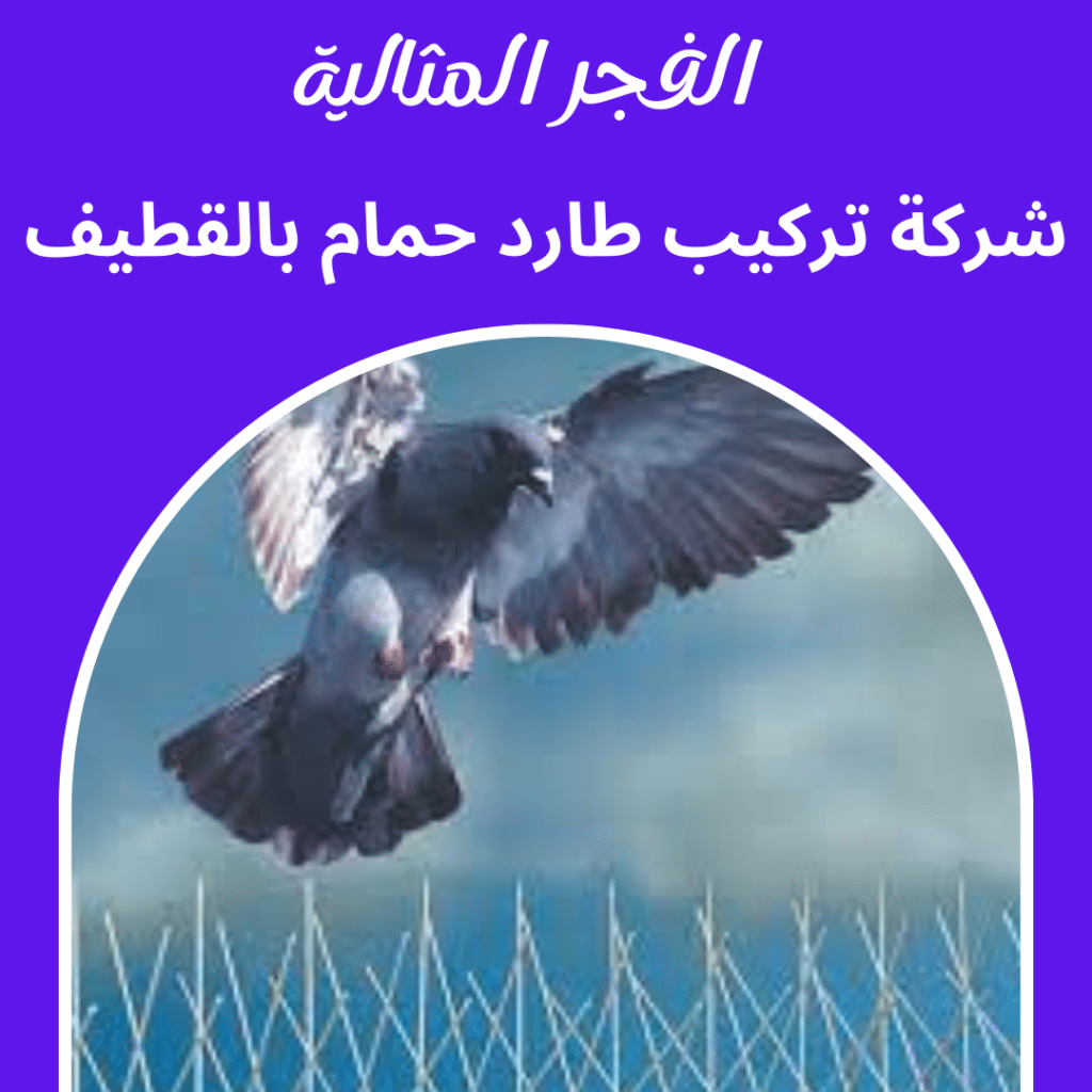 شركة تركيب طارد حمام بالقطيف