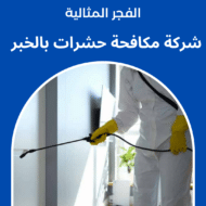 شركة مكافحة حشرات بالخبر