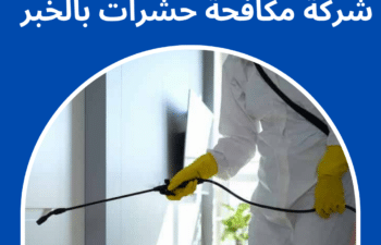 شركة مكافحة حشرات بالخبر