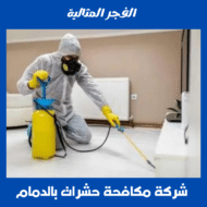 شركة مكافحة حشرات بالدمام