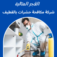 شركة مكافحة حشرات بالقطيف