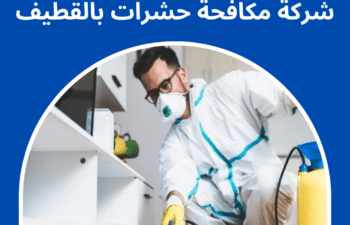شركة مكافحة حشرات بالقطيف