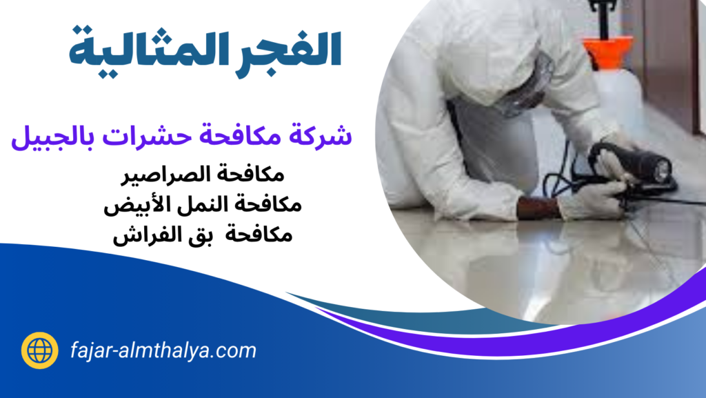 شركة مكافحة حشرات بالجبيل