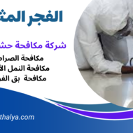 شركة مكافحة حشرات بالجبيل