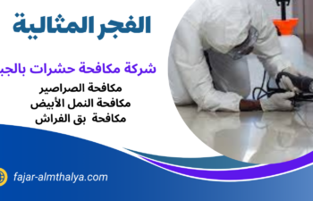 شركة مكافحة حشرات بالجبيل
