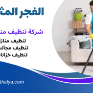 شركة تنظيف بالجبيل